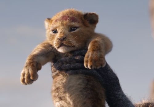 Covering All About The Lion King (2019)